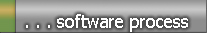 software-process